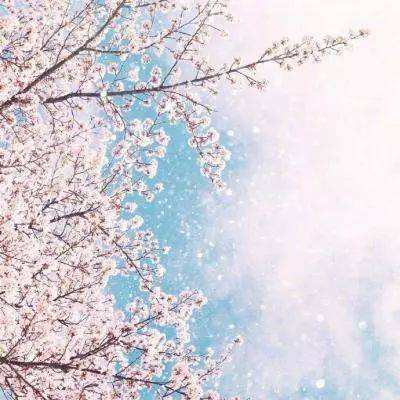 NG体育APP官方下载网址app下载