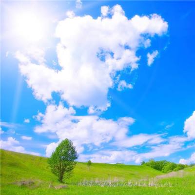 金博宝官网下载手机版