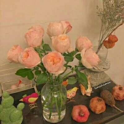 百人牛牛游戏手机app下载