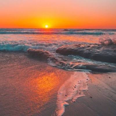 炸金花单机游戏手机app下载