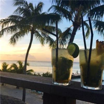 澳门天天免费资料大全下载